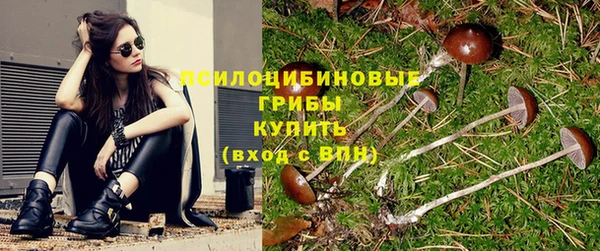 кокаин колумбия Иннополис