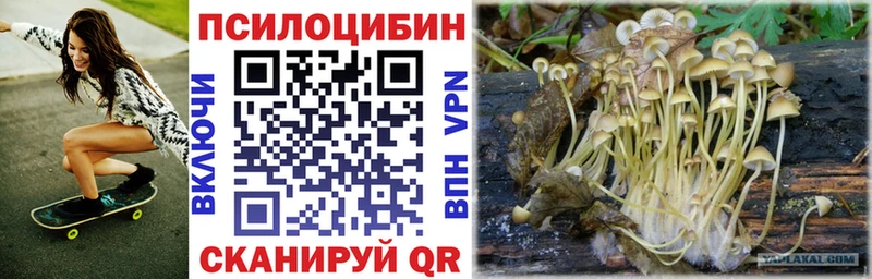 Купить  Дегтярск  Галлюциногенные грибы прущие грибы 